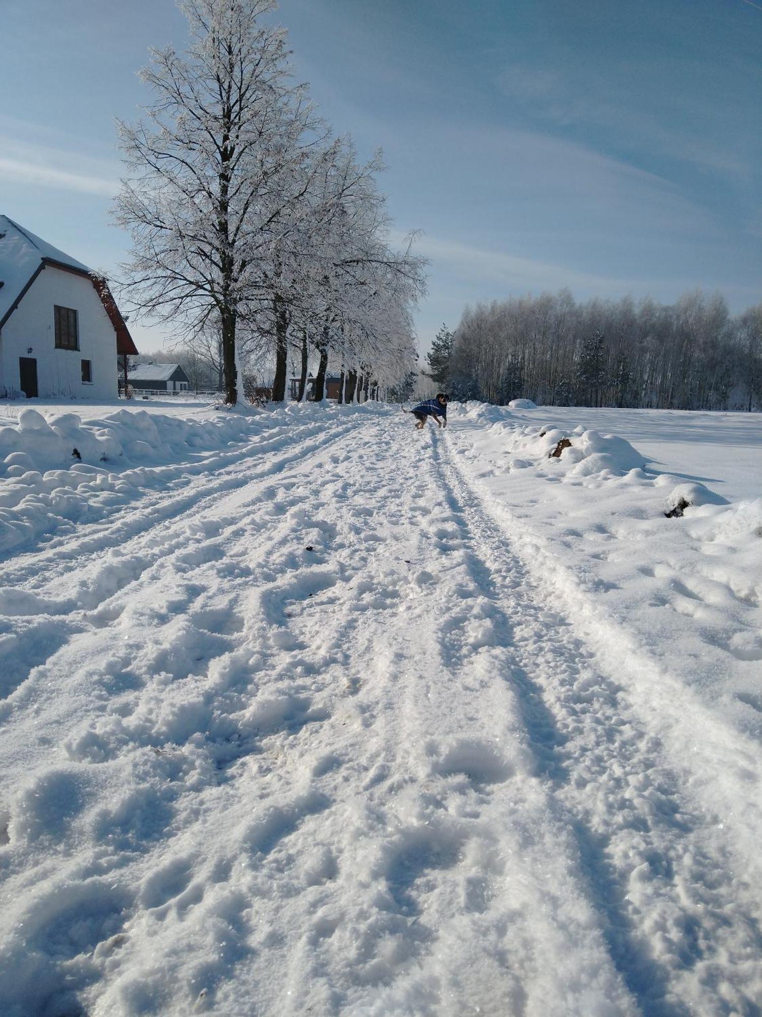 Domek Przy Stajni Bogdanowka Caloroczny Rossosz Exterior foto
